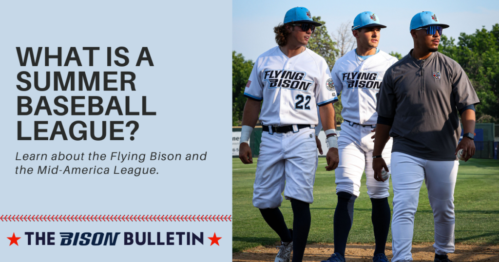 summer baseball league